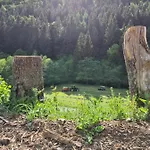 Panoramablick Schwalefeld * Willingen (Upland)