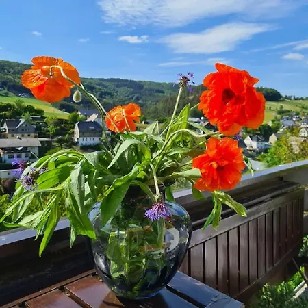 Panoramablick Willingen Schwalefeld