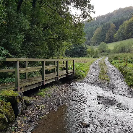 Panoramablick Schwalefeld 아파트 빌링겐