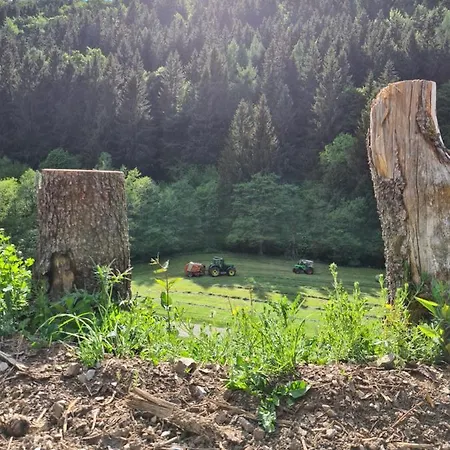 Panoramablick Schwalefeld * 빌링겐