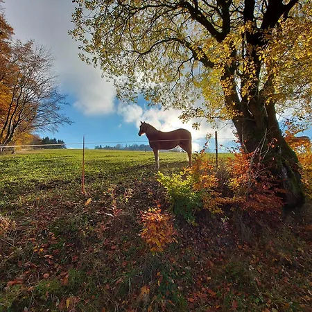 Panoramablick Schwalefeld Willingen