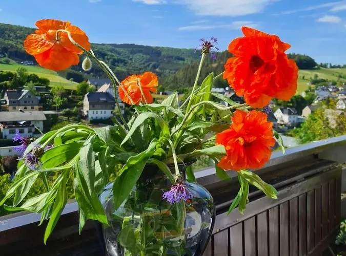 Panoramablick Schwalefeld