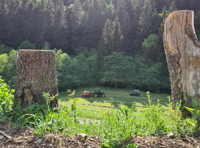 Panoramablick Schwalefeld * Willingen