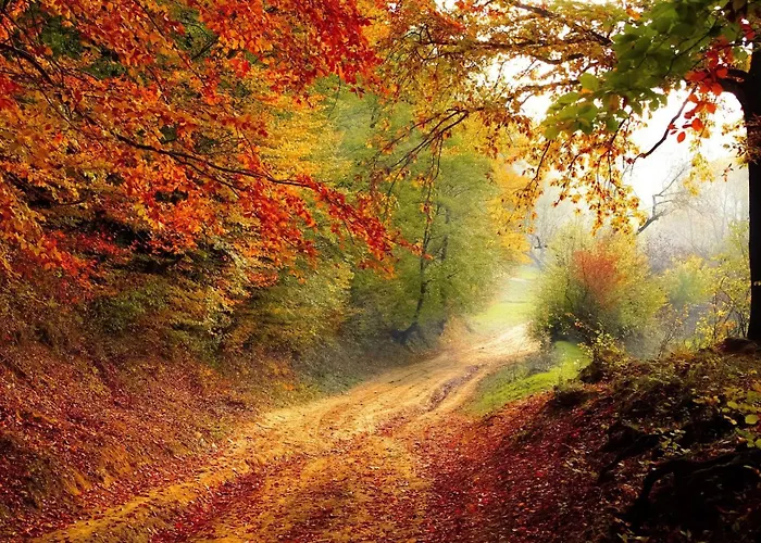 Panoramablick Schwalefeld Apartman Willingen