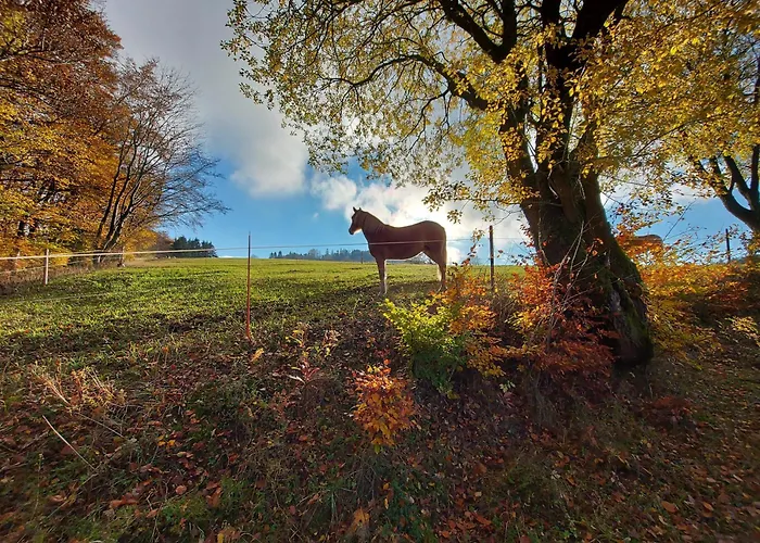 Panoramablick Schwalefeld Willingen (Upland)